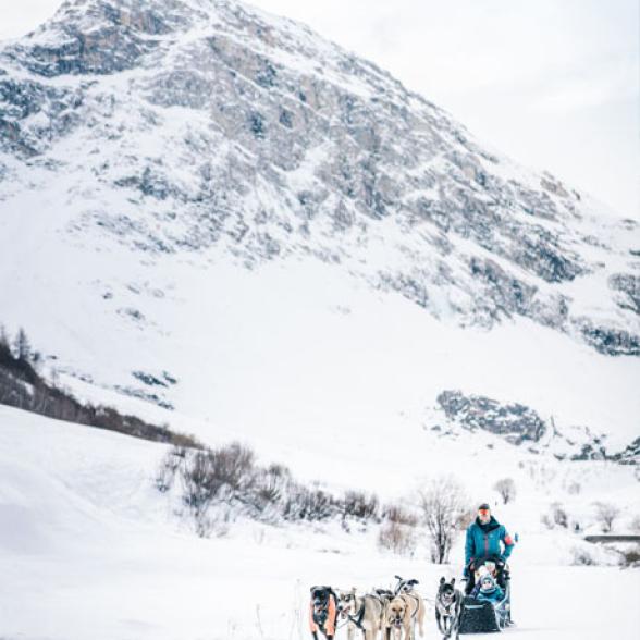 Chien de traîneau à Val Thorens