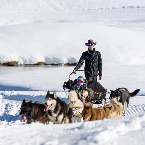 Des activités en hiver