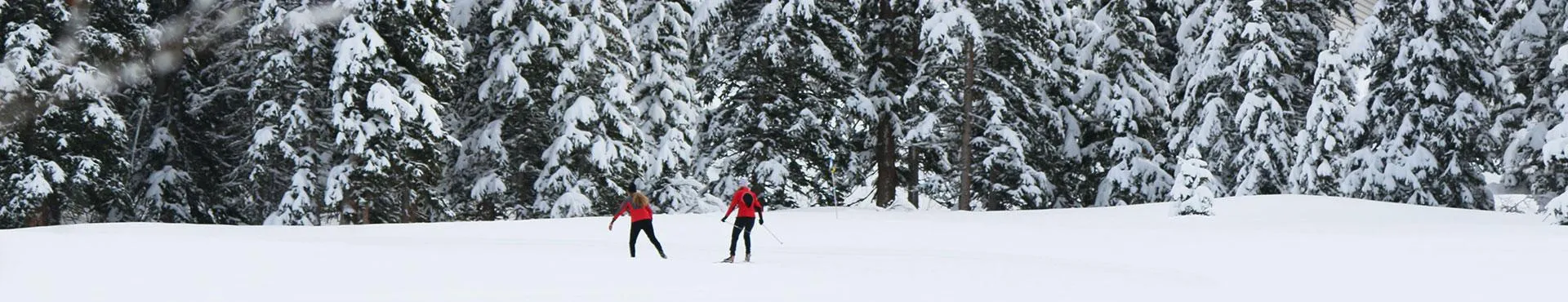 ski de fond